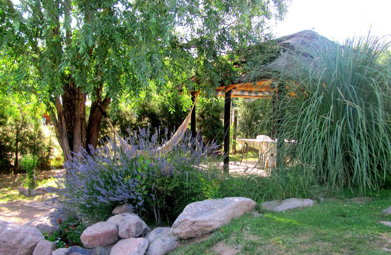 Cabanas Terrazas De Cacheuta Mendoza Bagian luar foto